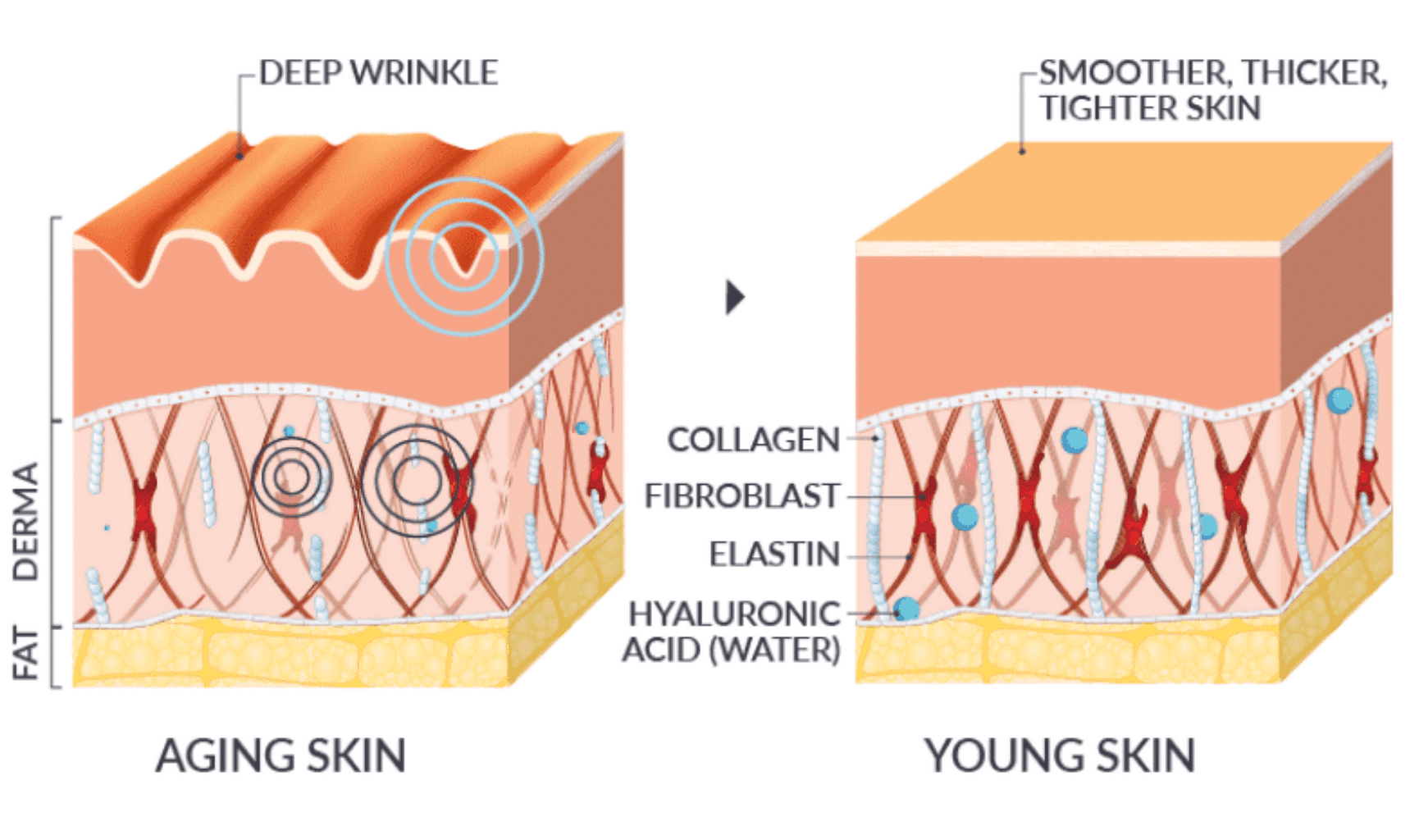 Screen Shot 2022-07-20 at 2.19.47 PM.png